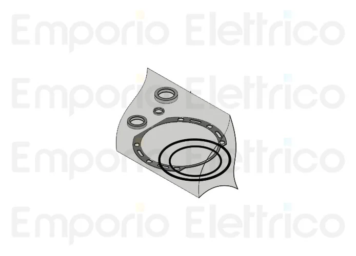 beninca Ersatzteil des Blisters Kit Dichtung für bison 20-25-30 9686694