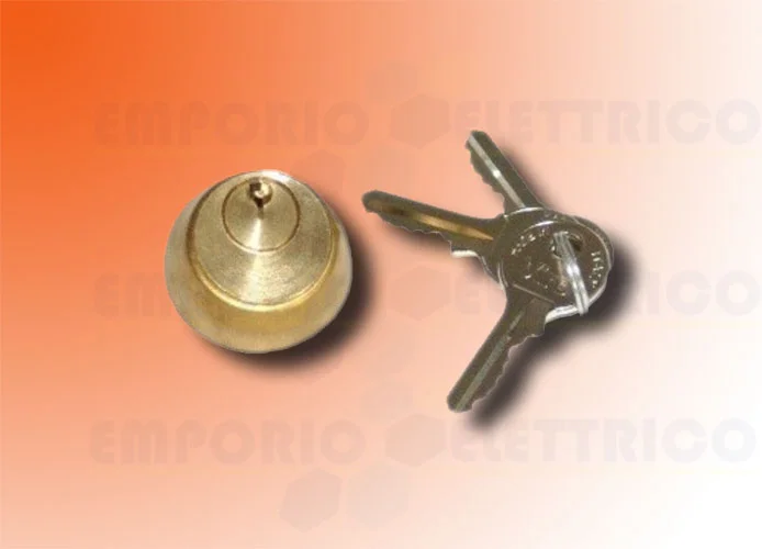 faac interner Zylinder mit 2 Schlüsseln für Elektroschloss 712651001/36