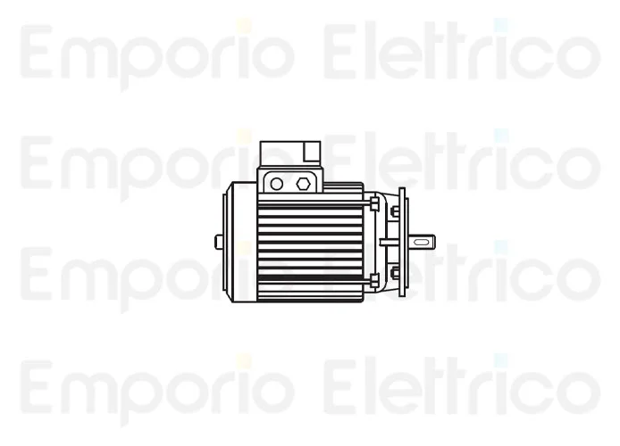 fadini ricambio motore elettrico 900 giri/min cv 1,5 trifase 200136